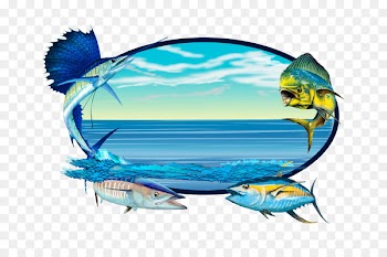 Long-sleeved T-shirt Long-sleeved T-shirt Fish Clip art - mahi mahi 