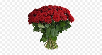 Long Stem Red Roses - 100 Red Roses Bouquet