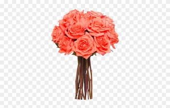 Long Stem Roses Transparent Png