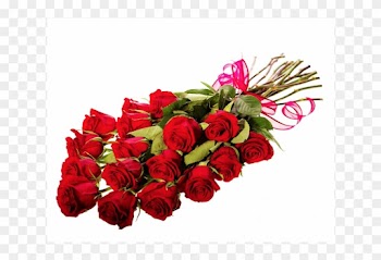Long Stemmed Red Roses Bouquet - Garden Roses