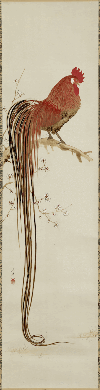 Long-tailed RoosterOriginal from the Minneapolis | Free Photo - rawpixel