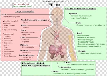 Long-term effects of alcohol consumption Alcoholism Alcohol and health Ethanol Alcoholic drink, liver transparent background PNG clipart