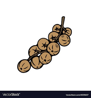 longan logo