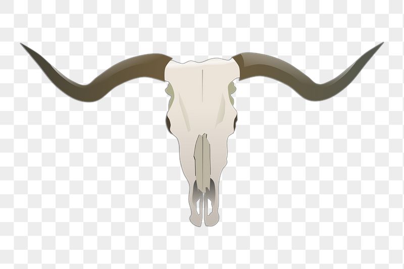 Longhorn skull png sticker, animal | Free PNG - rawpixel
