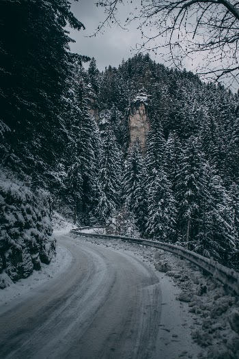 look at my insta for more @rawcurve  |   instagram.com/rawcurve