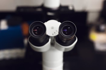 Look Through The Microscope