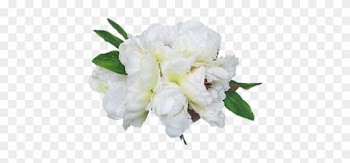 Looking For White Wedding Flowers Check Out This Beautiful - Peony Silk Bouquet In White 10" Tall