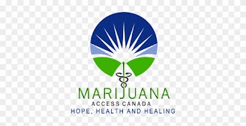 Looking To See If You Qualify For Medical Marijuana - Png Medical Marijuana Help
