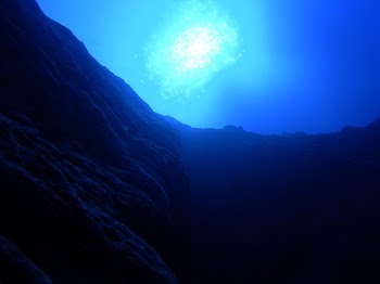 Looking_Up_II.JPG