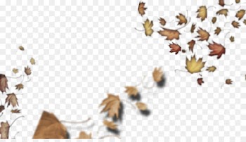 Loose Leaves by Lesley Clargo Honey bee Insect Illustration - insect 