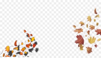 Loose Leaves by Lesley Clargo Illustration Graphics Book - average ornament 