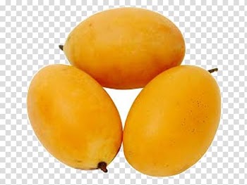 Loquat Mango Bouea macrophylla Fruit Auglis, Thai fruit transparent background PNG clipart