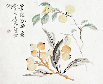 Loquat Tree of Japan (1845&ndash;54) | Free Photo Illustration - rawpixel