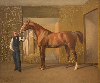 Lord Cochrane | Free Photo - rawpixel
