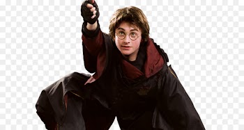 Lord Voldemort Professor Albus Dumbledore Harry Potter and the Philosopher's Stone Fictional universe of Harry Potter - sikh ornament 