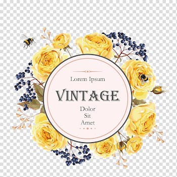 Lorem Ipsum Vintage Dolor Sit met, Flower illustration , yellow rose flower label transparent background PNG clipart