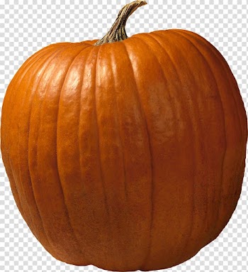 Los Angeles Dodgers Cucurbita maxima Jack-o'-lantern Pumpkin Carving, acorn squash transparent background PNG clipart