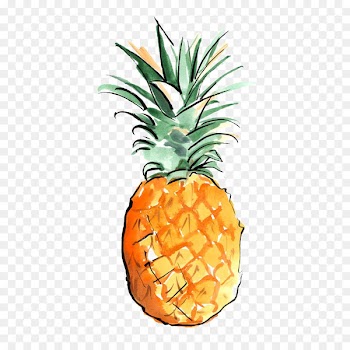 Los Angeles Drawing Art Wallpaper - pineapple 