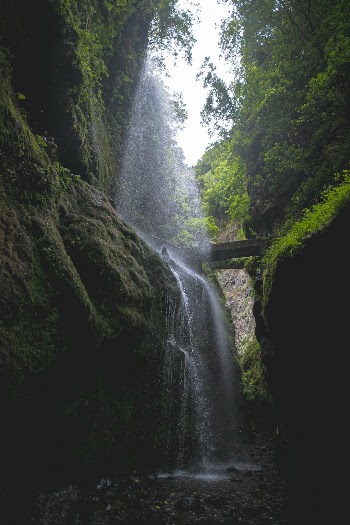 Los Tilos, Isla de la Plama 