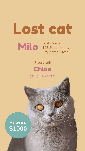 Lost cat Facebook story template | Free PSD Template - rawpixel