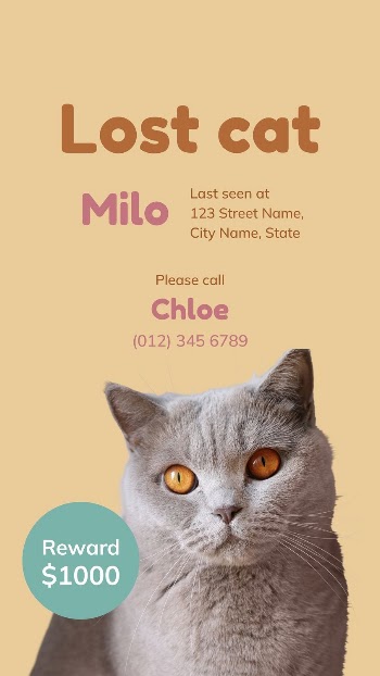 Lost cat Facebook story template | Free Vector Template - rawpixel