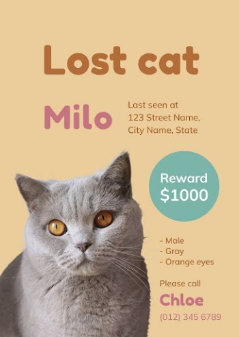 Lost cat poster template for social | Free Vector Template - rawpixel
