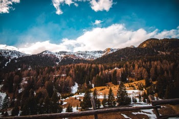 Lost in Nature