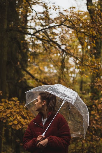 Lost in the forest