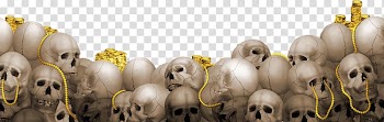 Lot skull transparent background PNG clipart