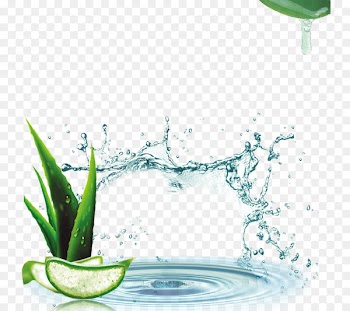 Lotion Aloe vera Cream Cosmetics - Aloe cosmetics Taobao Straight 