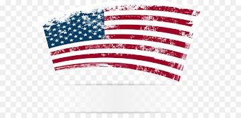 Lotion Spray bottle High-density polyethylene Liquid - American flag vector ink 