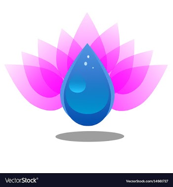 Lotos and drop image vector image