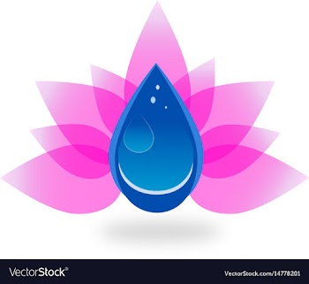 Lotos flower vector image