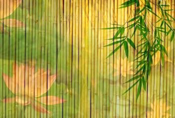 lotus and bamboo background
