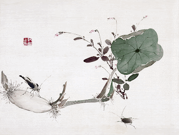 Lotus and insects (19th century) | Free Photo Illustration - rawpixel