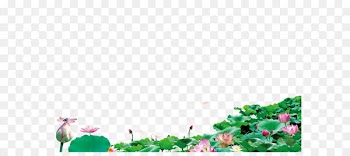 Lotus background 