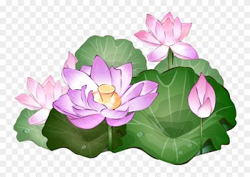 Lotus Flower Clipart - Lotus Flower Clipart Png