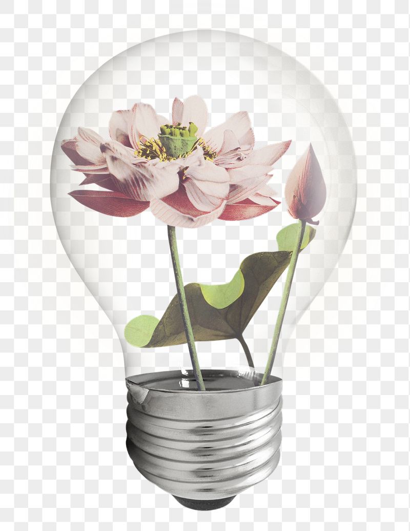 Lotus flower png light bulb | Free PNG - rawpixel