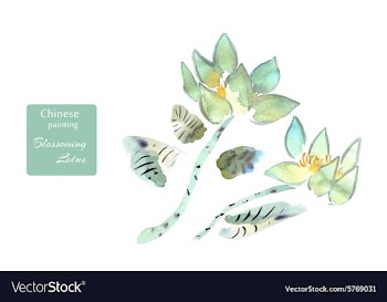 Lotus flowers watercolor done in the style of vector image