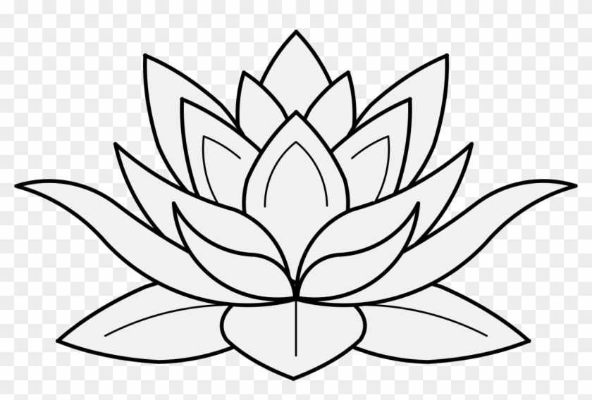 Lotus - Lotus Flower Drawing Png