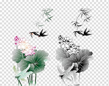 Lotus Nelumbo nucifera Cdr, Lotus lotus leaf transparent background PNG clipart