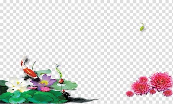 Lotus Pond Nelumbo nucifera Floral design, Mid lotus transparent background PNG clipart