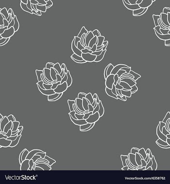 Lotus seamless pattern set vector image