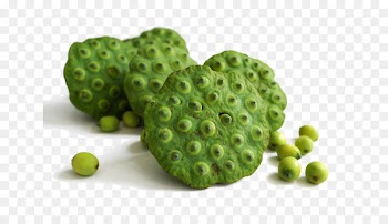 Lotus seed Congee Tong sui Chinese food therapy - Fresh green lotus seeds 