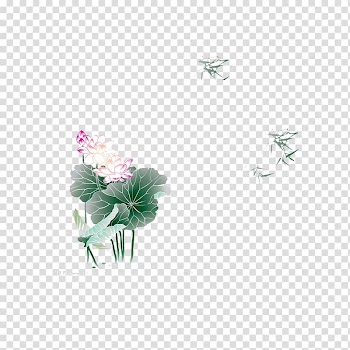 , Lotus transparent background PNG clipart