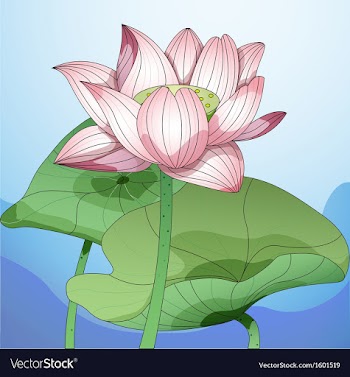 Lotus1 vector image