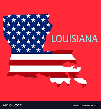 Louisiana state of america with map flag print on vector image