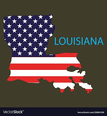 Louisiana state of america with map flag print on vector image