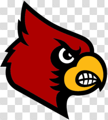Louisville Baseball to Charge Admission in 2018 | Ballpark Digest