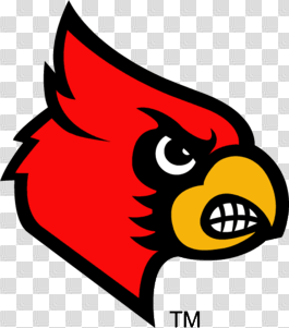 Louisville Cardinals | Baseball Wiki | FANDOM powered by Wikia